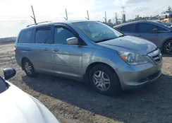 5FNRL38757B144737: 44096471