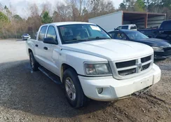 1D7RE3GP8BS510736: 44097694