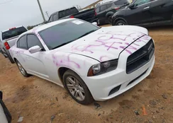 2C3CDXAG6DH734430: 44098929