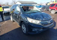 5J6RM4H77FL049461: 44098262