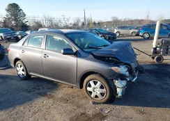 JTDBU4EE2A9095909: 44098357