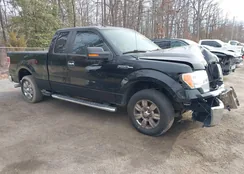 1FTFX1CF2BFD34607: 44099680