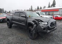 3TMDZ5BN6JM041096: 44100959