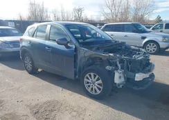 JM3KE4BY8G0777905: 44101548