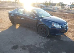 1G1ZG57B79F147460: 44101694