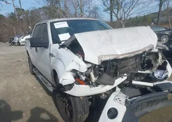 1FTFW1EFXEFD12066: 44101792