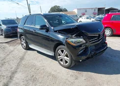 4JGDA5JB7DA262749: 44101229