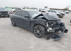 2C3CDXBG5PH530575: 44101253