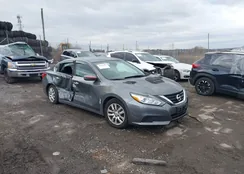 1N4AL3AP3HN346458: 44101450