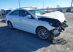 5NPE24AF5KH746542: 44102564