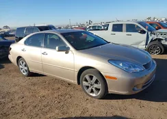 JTHBA30G655091160: 44102749