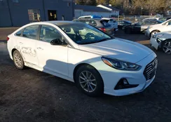 5NPE24AF3JH679132: 44104743