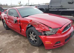 1ZVBP8AM4D5228738: 44104892