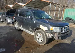 1FMCU59H88KD64279: 44105131