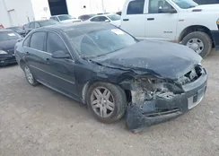 2G1WG5E36D1192467: 44104228