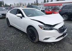 JM1GJ1W54G1472517: 44105854