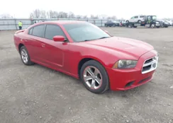 2B3CL3CG4BH500662: 44105292