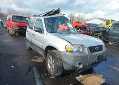 1FMYU93Z97KB18841: 44106836