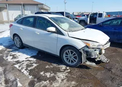 1FADP3F29HL276295: 44107394