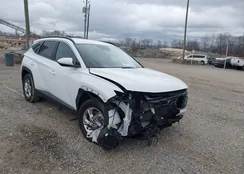 5NMJBCDE7RH325022: 44107517