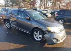 4T1BF1FK6DU235552: 44110667