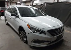 5NPE24AFXFH142278: 44110952