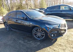 19UUB3F66KA002794: 44110307