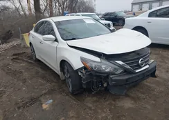 1N4AL3APXGC289847: 44110468