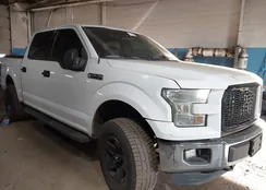 1FTEW1EF5FFB00365: 44111809