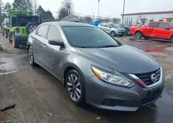 1N4AL3AP7HC129281: 44111816