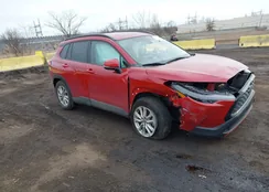 7MUCAABGXNV031700: 44111966