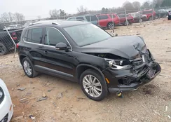 WVGBV7AX0DW507638: 44111975