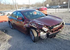 1N4AA5AP0DC800480: 44111358