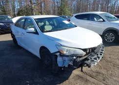 4T1BF1FK9GU570809: 44111427