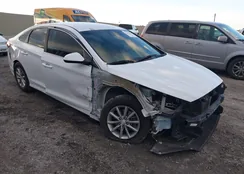 5NPE24AF5KH801863: 44112601