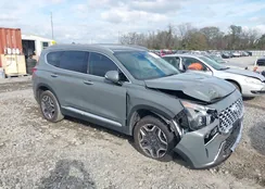 5NMS4DAL2PH532681: 44113052