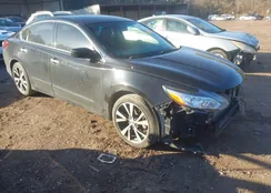 1N4AL3AP8JC234563: 44113645