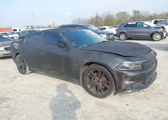 2C3CDXBG1GH216034: 44113809