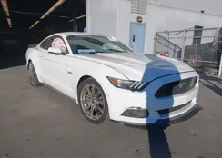 1FA6P8CF4H5344777: 44114029