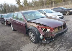 1HGCP36798A046884: 44114515