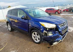 1FMCU9G98GUA32574: 44115094