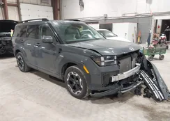 5NMP2DGL3RH064918: 44114382