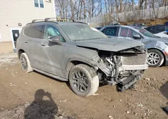 5NMS6DAJ5PH558491: 44115858