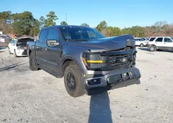 1FTEW3LP5RKD41328: 44116103