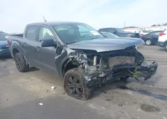 1FTER4EH9NLD31618: 44115435