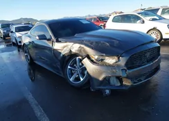 1FA6P8TH6H5344796: 44116515