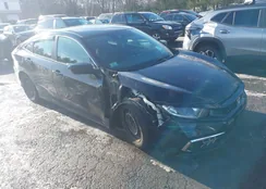 19XFC2F6XLE215504: 44116517