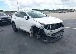 2T2GDCAZ6SC016211: 44116629