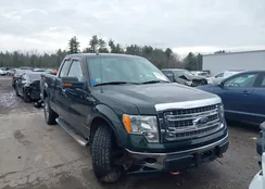 1FTFX1EF2DKG37216: 44116930