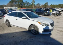 5NPE34AF0GH299882: 44116983